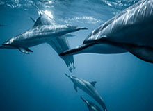 乐鱼体育线上网站-“湘超”开赛，打造文体旅新品牌